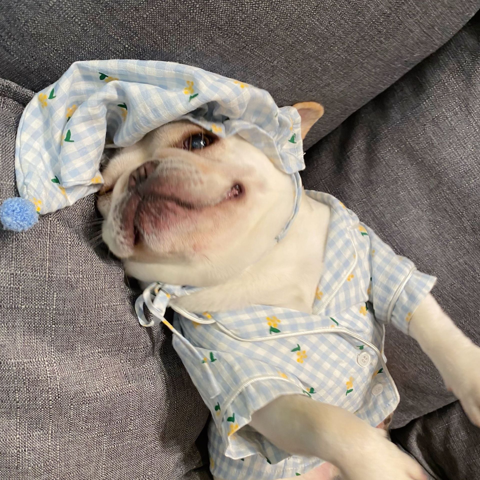 HKM-2885437 Cotton Pajamas for Dogs and Cats with Matching Hat - Casual Style in Red and Blue, Sizes S to XXL