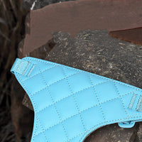 HKM-2886205 Soft Polyester Dog Chest Strap with Lead Rope for Small Breeds in Multiple Colors