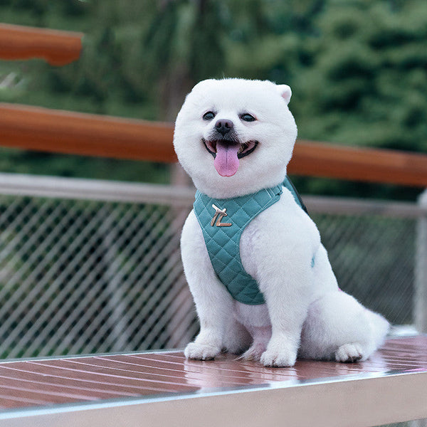 HKM-2886205 Soft Polyester Dog Chest Strap with Lead Rope for Small Breeds in Multiple Colors