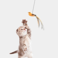 HKM-2891837 Interactive Automatic Lifting Cat Teaser Toy with Feather and Puzzle Design
