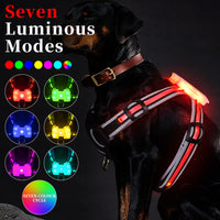 HKM-2893629 LED Night Dog Walking Vest with Multi-Color Transformation Straps
