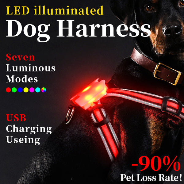 HKM-2893629 LED Night Dog Walking Vest with Multi-Color Transformation Straps