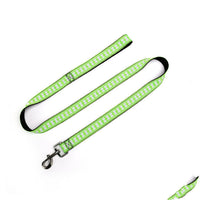 HKM-2894141 Dog Leash - Character Bone Nylon Traction Belt, 2.5 x 120CM, Available in Multiple Colors