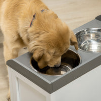 HKM-2900285 Elevated Pet Feeding Station with Storage Compartment for Large Dogs
