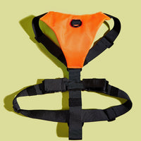 HKM-290451 Adjustable Dog Chest Harness with Matching Leash - Durable 600D Oxford Cloth, Various Sizes & Colors