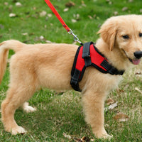 HKM-2905149 Mesh Dog Saddle Harness - Breathable Cloth Chest Strap for Small to Large Dogs in Multiple Colors