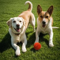 HKM-290707 Durable TPR Bite Toy Ball for Active Dogs