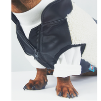 HKM-2910397 Warm Lambswool Pet Jacket for Small Dogs and Cats with Pocket - Casual Autumn/Winter Wear