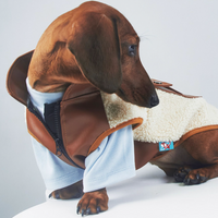 HKM-2910397 Warm Lambswool Pet Jacket for Small Dogs and Cats with Pocket - Casual Autumn/Winter Wear