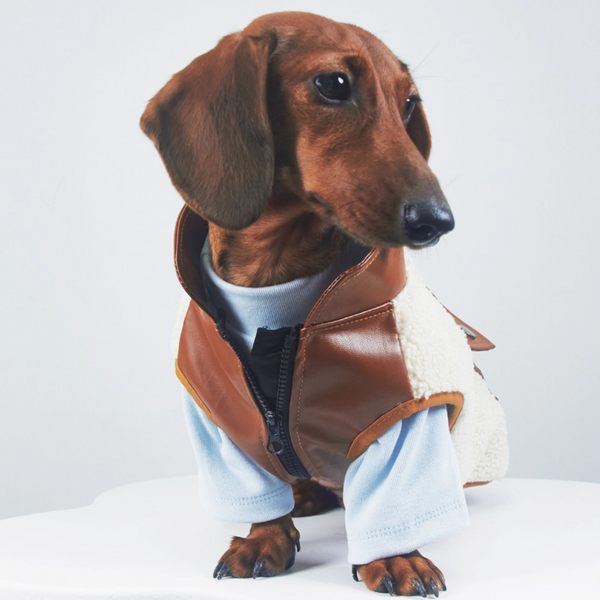HKM-2910397 Warm Lambswool Pet Jacket for Small Dogs and Cats with Pocket - Casual Autumn/Winter Wear
