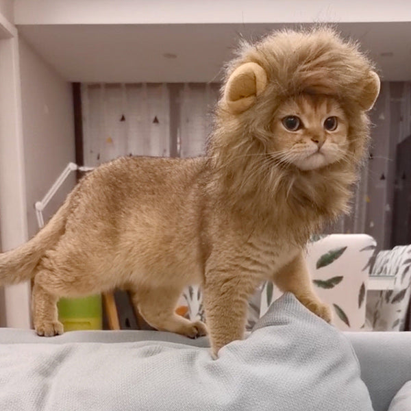 HKM-2910653 Cute Animal Headgear for Pets - Lion & Rabbit Designs in Various Sizes, Polyester Material