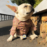 HKM-2921917 Floral Print Plush Shirt for Dogs and Cats ¨C Soft Polyester Fabric, Available in Multiple Sizes