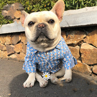HKM-2921917 Floral Print Plush Shirt for Dogs and Cats ¨C Soft Polyester Fabric, Available in Multiple Sizes