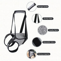 HKM-2926397 Neoprene Recovery Belt for Injured Dog's Rear Leg - Adjustable Waist and Thigh Sizes