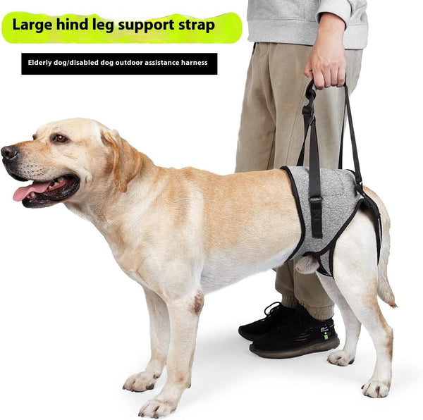 HKM-2926397 Neoprene Recovery Belt for Injured Dog's Rear Leg - Adjustable Waist and Thigh Sizes