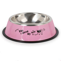 HKM-2938813 Automatic Stainless Steel Dog Bowl ¨C Complete Feeding Set from Zhejiang