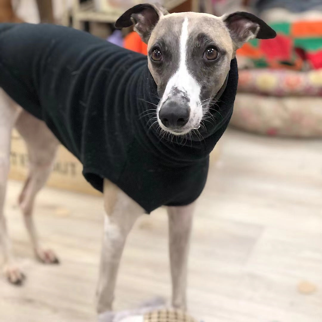 HKM-2940989 Winter Polar Fleece High Collar Vest for Italian Greyhound & Whippet Dog