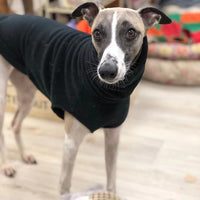 HKM-2940989 Winter Polar Fleece High Collar Vest for Italian Greyhound & Whippet Dog