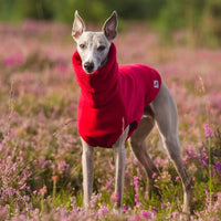 HKM-2940989 Winter Polar Fleece High Collar Vest for Italian Greyhound & Whippet Dog
