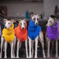 HKM-2940989 Winter Polar Fleece High Collar Vest for Italian Greyhound & Whippet Dog