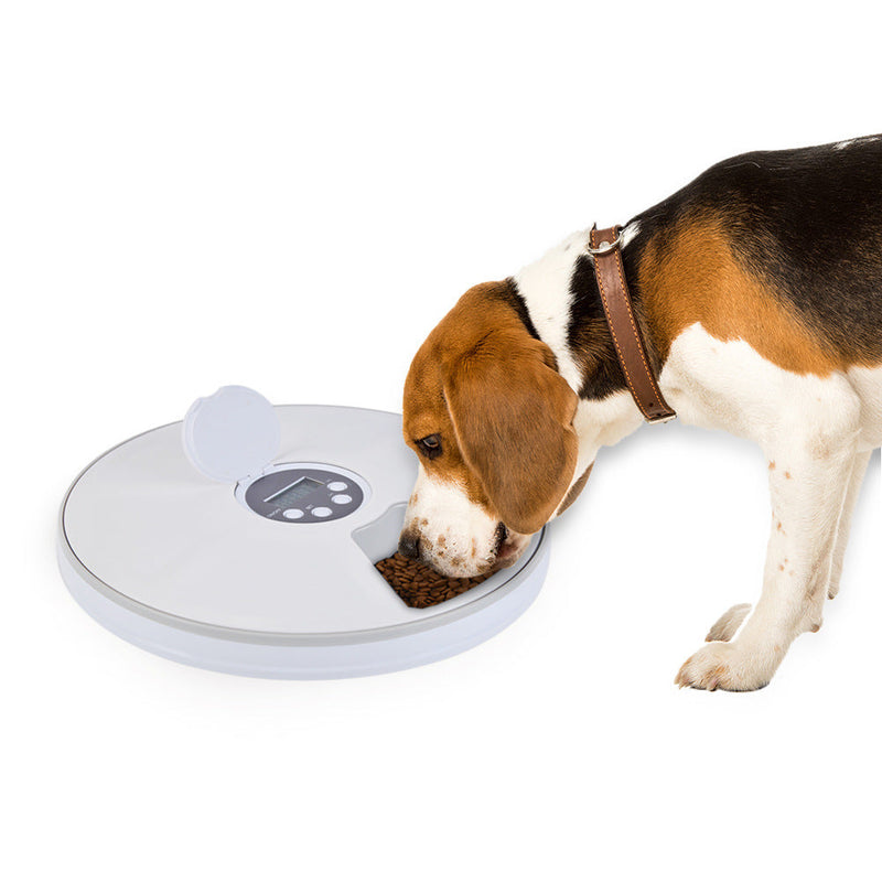 HKM-2942397 Automated Six-Meal Electric Cat and Dog Feeder with Timer and Music Reminder