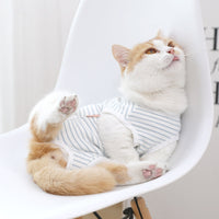 HKM-2942781 Casual Blue and White Cotton Pet Care Suit for All Sizes