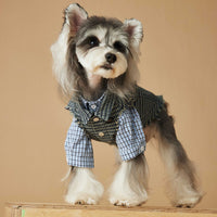 HKM-2943165 Washed Blue Plaid Sleeveless Denim Vest for Pets