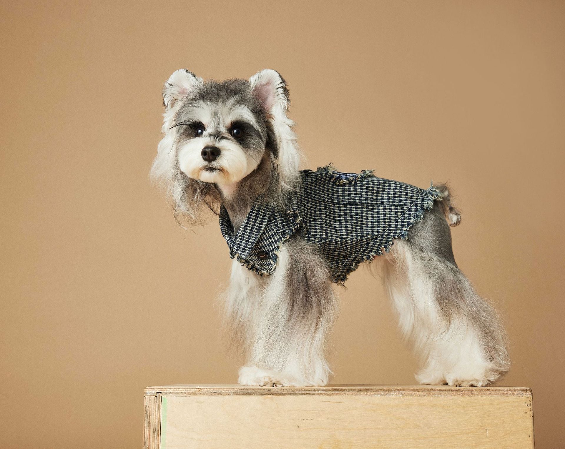 HKM-2943165 Washed Blue Plaid Sleeveless Denim Vest for Pets