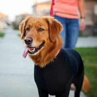 HKM-2944957 Autumn and Winter Dog Apparel for Small and Medium Breeds in Black, Red, and Purple