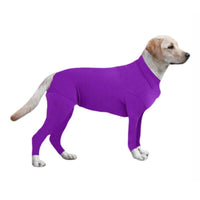 HKM-2944957 Autumn and Winter Dog Apparel for Small and Medium Breeds in Black, Red, and Purple