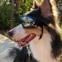 HKM-2945981 Stylish Dog Sunglasses with Gold Chain for Small Dogs and Cats