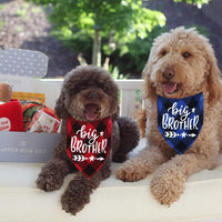 HKM-2948541 Triangle Scarf for Dogs - Pregnancy Notice Pattern Cotton with Adjustable Neck Sizes