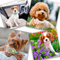 HKM-2951613 Floral Small Dog Collar with Bell - Adjustable and Comfortable for Girls