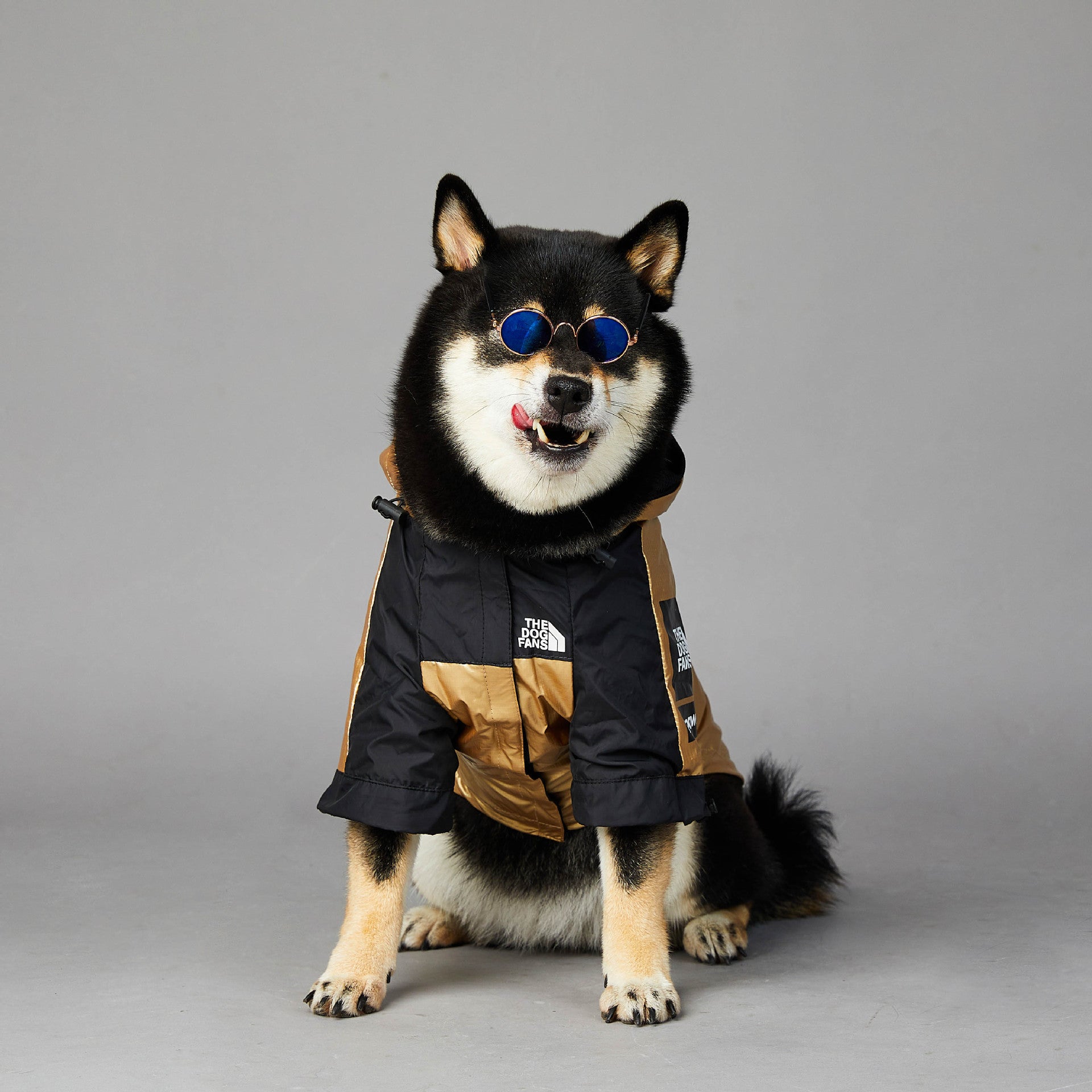 HKM-2951741 Large Dog Raincoat Shell Jacket - Windproof and Rainproof in Gold, Available in Multiple Sizes (S-5XL)