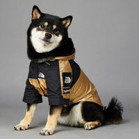 HKM-2951741 Large Dog Raincoat Shell Jacket - Windproof and Rainproof in Gold, Available in Multiple Sizes (S-5XL)