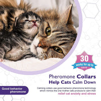 HKM-2952125 Calming Cat Collar for Anxiety Relief - Adjustable Hypoallergenic Comfort Collar