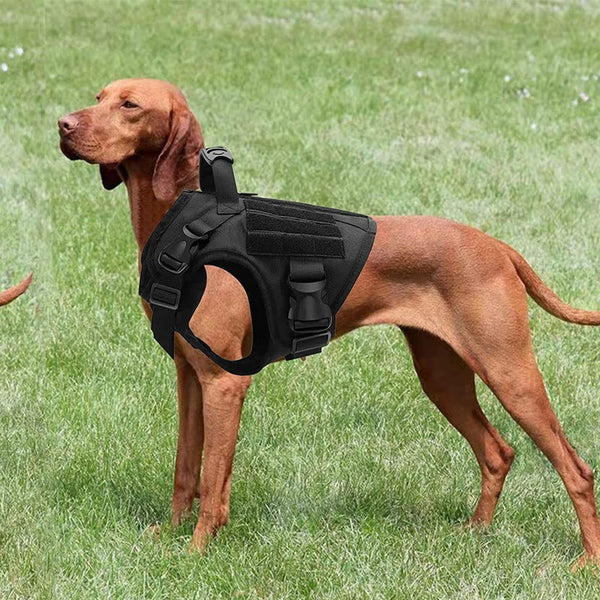 HKM-2953405 Durable Nylon Water-Repellent Tactical Chest Strap for German Shepherds - Explosion-Proof Design