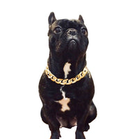 HKM-2961853 Simple Cat Metal Necklace in Gold, Rose Gold, Silver, and Gun Black - 28cm with 7cm Extension - Hip Hop Style