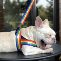 HKM-2965437 Rainbow Nylon Dog Leash with T-Type Chest Strap for Small to Medium Dogs
