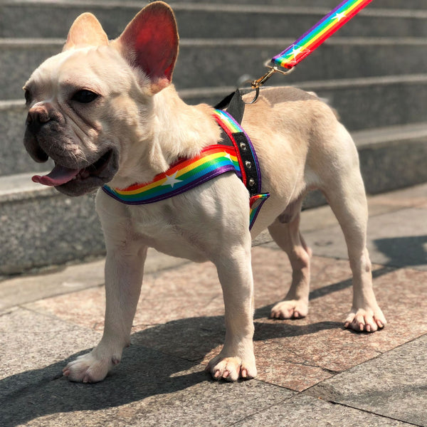 HKM-2965437 Rainbow Nylon Dog Leash with T-Type Chest Strap for Small to Medium Dogs