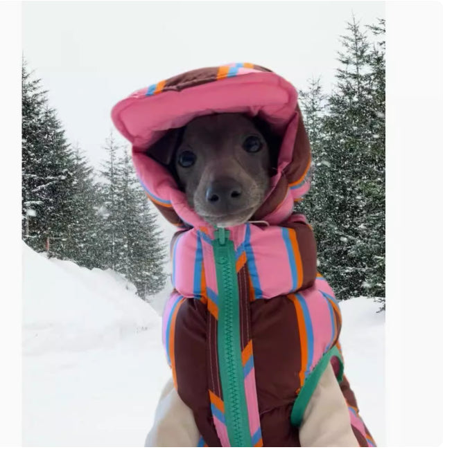 HKM-2969789 Pet Striped Vest with Hat for Autumn and Winter, Casual Polyester Clothing, Multiple Sizes Available