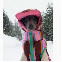 HKM-2969789 Pet Striped Vest with Hat for Autumn and Winter, Casual Polyester Clothing, Multiple Sizes Available