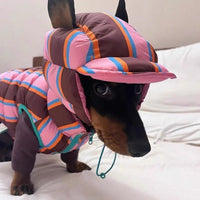HKM-2969789 Pet Striped Vest with Hat for Autumn and Winter, Casual Polyester Clothing, Multiple Sizes Available