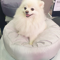 HKM-2971453 Moisture-Proof Dust Resistant High Elastic Removable Washable Large Round Pet Bed
