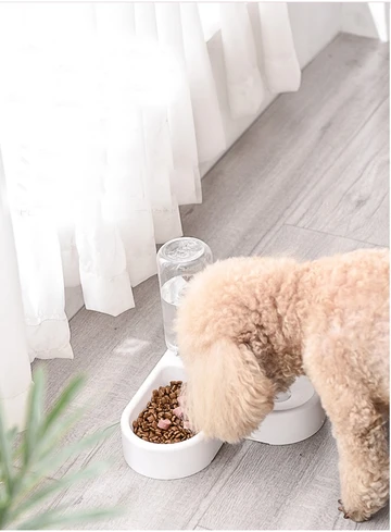 HKM-2971581 Dual-Use Cat and Dog Bowl with Non-Wet Mouth Design - Available in Pink, Blue, and White