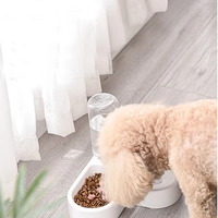 HKM-2971581 Dual-Use Cat and Dog Bowl with Non-Wet Mouth Design - Available in Pink, Blue, and White