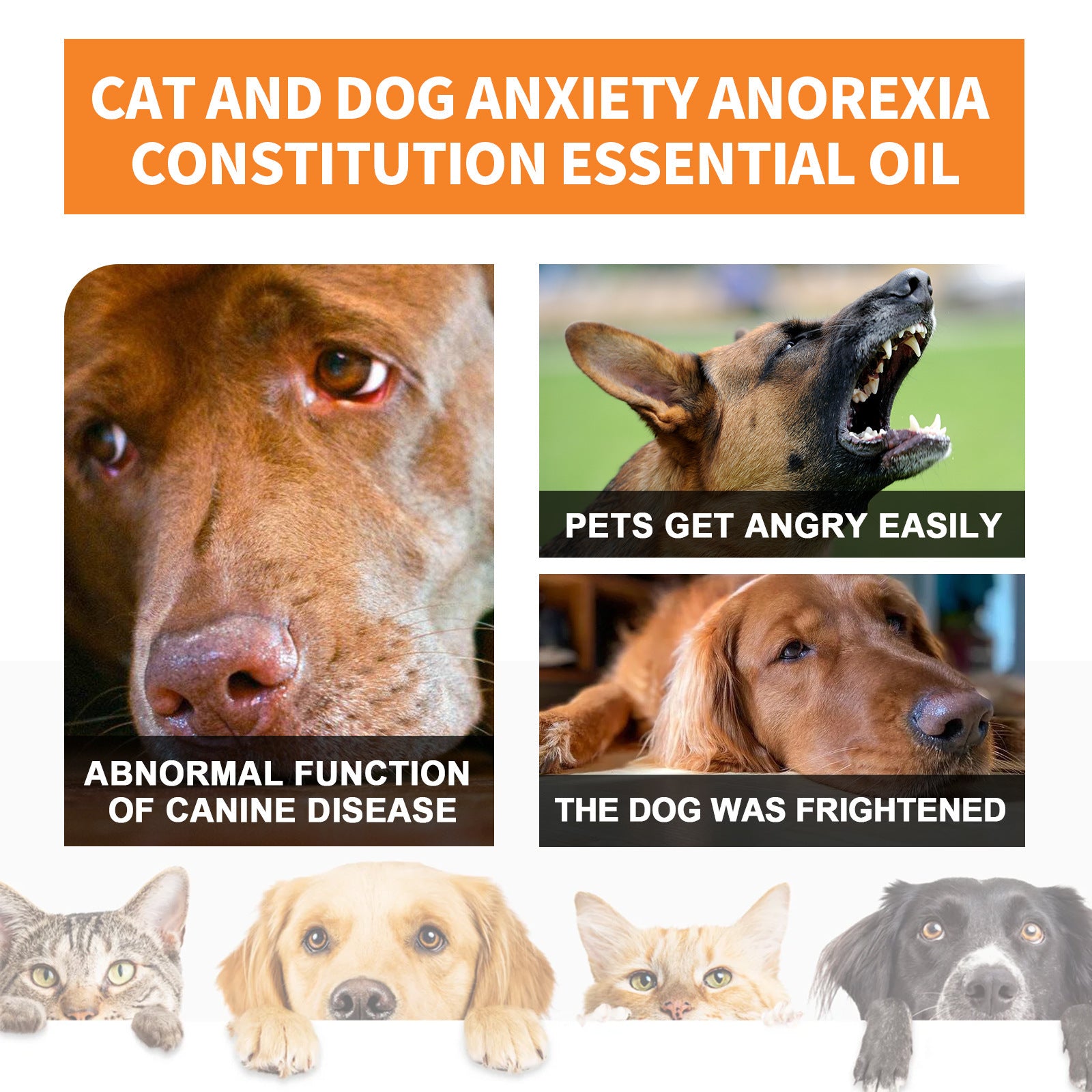 HKM-2975165 Cat and Dog Nutritional Supplement for Enhanced Fitness - 30ml Seed Oil