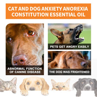 HKM-2975165 Cat and Dog Nutritional Supplement for Enhanced Fitness - 30ml Seed Oil