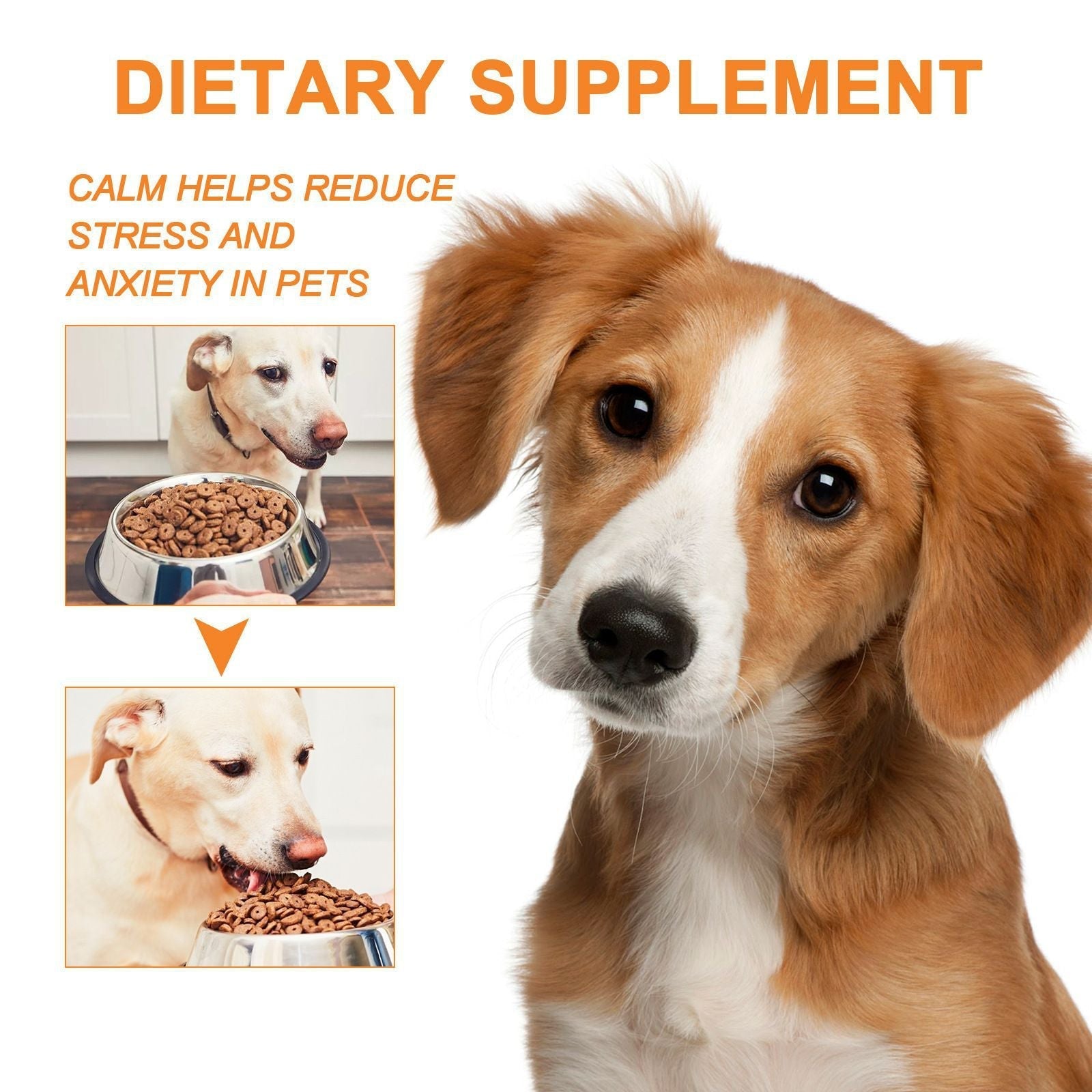 HKM-2975165 Cat and Dog Nutritional Supplement for Enhanced Fitness - 30ml Seed Oil