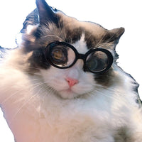 HKM-2978749 Multi-Color Round Frame Sunglasses for Dogs and Cats - UV380 Protection